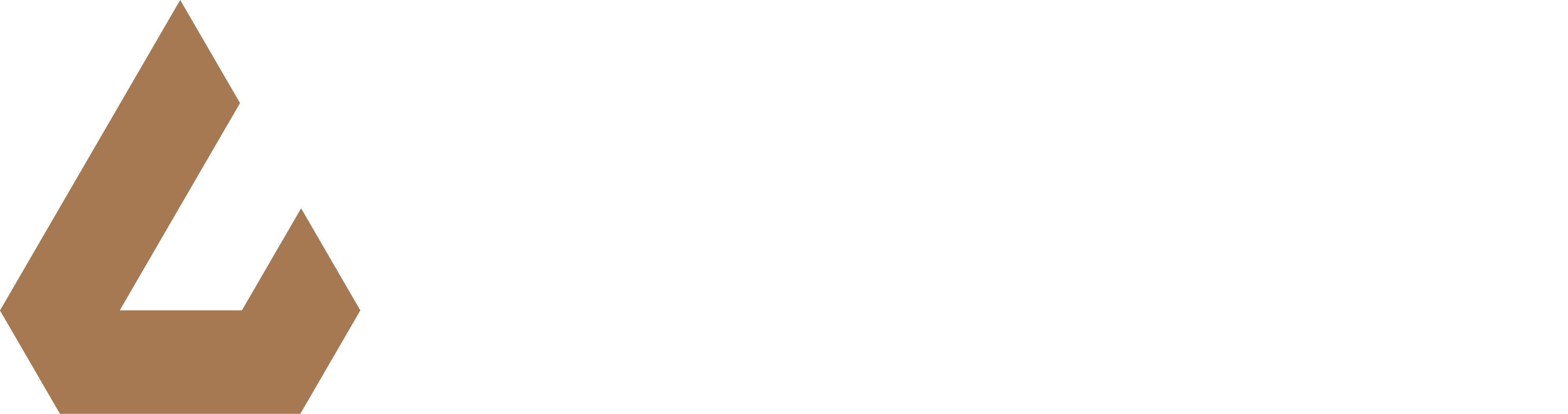 MetaLegalSpace